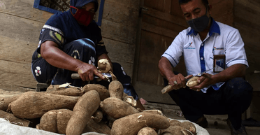 "Найсмертоносніша їжа у світі": чому її продовжують вживати близько 500 млн осіб