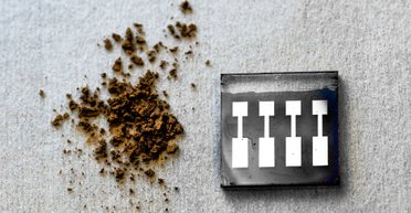 Дешевая и безопасная: ученые разработали "деревянную" солнечную панель