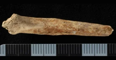 Очень странная находка: археологи обнаружили нечто необычное в шахте римского карьера (фото)