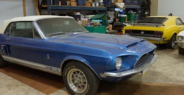 Раритеты на $600 000: обнаружена секретная коллекция культовых американских авто (видео)