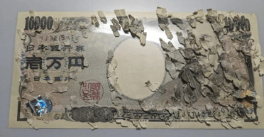 Витратив 3 тижні: хлопчик зібрав по шматочках знищену грошову купюру (фото)