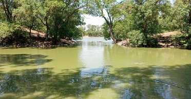 Довели до миллионных долгов: россияне подали в суд на заповедник "Аскания-Нова" на Херсонщине