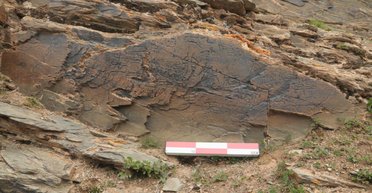 Легенда про безсмертя правдива: вчені знайшли сліди експедиції першого імператора Китаю (фото)