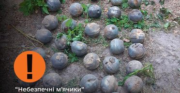 В Киеве среди обломков сбитой ракеты Х-101 нашли "опасные мячики": что это такое (фото)