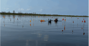 Сімейний бізнес мая: археологи знайшли древню солеварню у Белізі (фото)