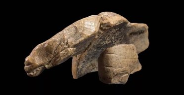 Секрет віком 35 тисяч років. Виявлено частини "тіла" стародавньої тварини: ніхто не знає, хто це (фото)