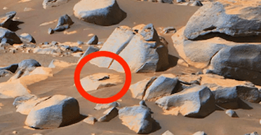 Життя на Марсі: знавець НЛО виявив на знімку NASA прибульця, який засмагає (фото)