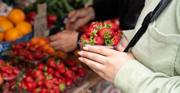 Розпочався сезон полуниці: скільки коштує ягода на ринках та супермаркетах країни