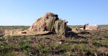 "Сеять животный, панический страх": почему снайперы важны на войне