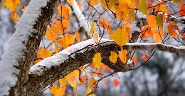 "Страшних морозів" не буде: синоптикиня спростувала чутки про найхолоднішу зиму (відео)