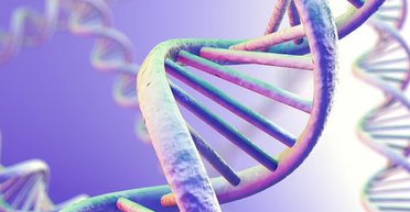 В человеке нашли новую форму жизни: она переписывает учебники