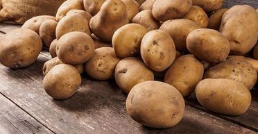 Картофель по 50 гривен за килограмм: в Минагрополитики объяснили, что будет с ценами