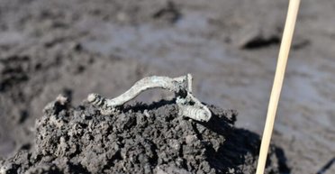 Одно из крупнейших: в недавно обнаруженном поселении кельтов нашли более 13 000 артефактов (фото)