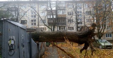 Погода розлютилася: у Києві падають дерева, є загиблі, служби в посиленому режимі (відео, фото)