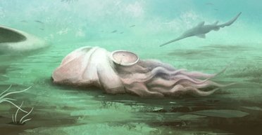 Найдавніший восьминіг у світі виявився підробкою: історію еволюції виду доведеться переписати (відео)