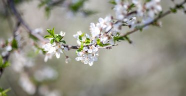 Март готовит сюрприз: в Украине температура подскочит до +20°C (фото)