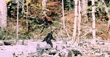 Издавал жуткие вопли и топал в лесу: американец рассказал о встрече со снежным человеком