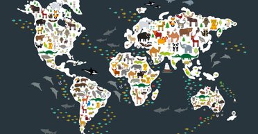 Остаться в живых. 5 животных на грани исчезновения