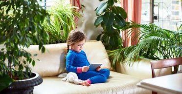 Безпечні, красиві, невибагливі: топ 5 рослин для дитячої кімнати (фото)