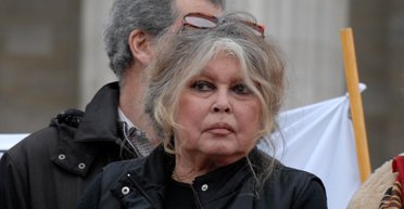 Французька кінодіва Бріжит Бардо опинилася в лікарні: що сталося