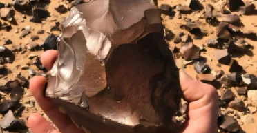 Раскопки в "пороховой бочке": археологи нашли палеолитические артефакты на западе Ирака (фото)