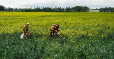 Украине не хватает саперов: чем в вопросе разминирования земель поможет Хорватия (видео)