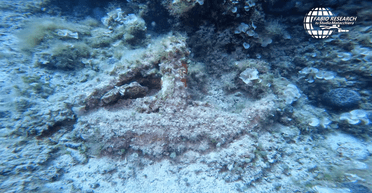 В Италии обнаружено древнеримский груз на месте кораблекрушения 2000-летней давности (видео)