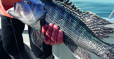 Велика риба пішла під воду і потягла на дно рибалку з Філіппін (фото)