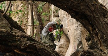 Находкам более 4000 лет: ученые обнаружили древние наскальные рисунки в Мексике (фото)