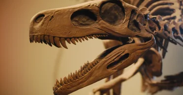 Где искать древнейших динозавров: почему ученые до сих пор не имеют четкого ответа (фото)