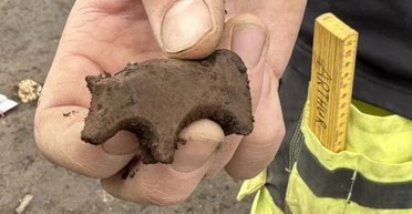 В Ісландії знайшли чудо-юдо з епохи вікінгів: учені не можуть розібратися в знахідці