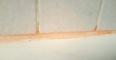 У ванній з'явився рожевий наліт: чому його не можна ігнорувати в жодному разі