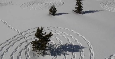 Год выбора. Памяти 2018-го и без особой надежды на 2019-й