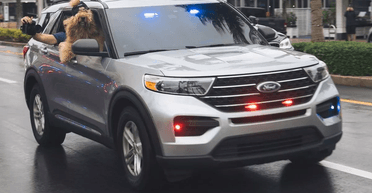 Зірка соцмереж: собаку прийняли в поліцію після того, як вона "заробила мільйони" (відео)