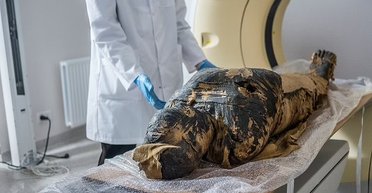 Заразное проклятье мумий: что может таиться в древнеегипетских саркофагах