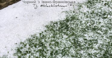 Вместо кондиционера: на Ивано-Франковщине прошел дождь с градом, который повалил деревья (фото)