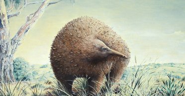 Прихована печера в Австралії понад 100 років зберігала таємницю: колись там мешкала гігантська тварина