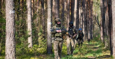 "Инструкции НАТО не действуют": бойцы ВСУ не довольны обучением на западе, — СМИ