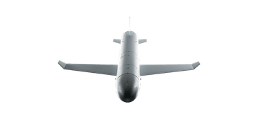 "Паляница" ценой 160 тысяч долларов. Почему украинская "ракета-дрон" так напоминает немецкую крылатую ракету "Фау-1"