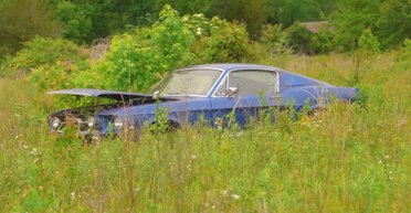 Культовое американское авто 60-х простояло 16 лет заброшенным посреди поля (видео)