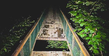 На Закарпатті обвалився дерев'яний міст з туристками: є жертви (фото)