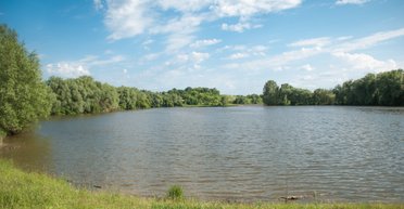 Старшего убила и смотрела как погибает младший: подробности убийства матерью 2 мальчиков под Варашем