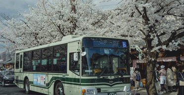 Водій автобуса позбувся багатомільйонної пенсії через одну купюру