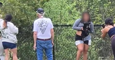 "Пережив травму": люди полізли на дерево за ведмежатами, щоб зробити з ними фото