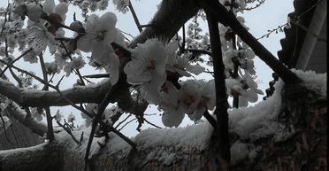 Сніг та сильні опади: чим здивує погода завтра, 9 травня (карта)