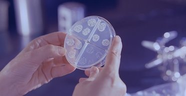 У 20 разів більше смертей: світ готується до нової загадкової пандемії "Хвороби X"