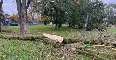 Пятилетний украинец погиб в Бельгии из-за урагана "Киаран", который накрыл Европу