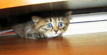 От телефонов до "Проблемы-2000". Почему глобальные страшилки оказываются не такими страшными