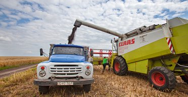 Незамеченный рекорд. Почему максимальный урожай в Украине не приведет к росту доходов аграриев