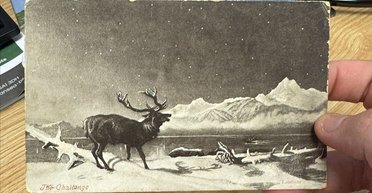 Жінка зустрілася з родичами після того, як отримала 121-річну листівку (фото)